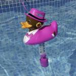 Pool Malmö - Bild på Termometer Stora Anka