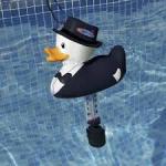Pool Malmö - Bild på Termometer Stora Anka