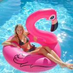 Pool Malmö - Bild på Flamingo badring